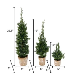 Gerson International Set Of 3 Slim Potted Christmas Trees